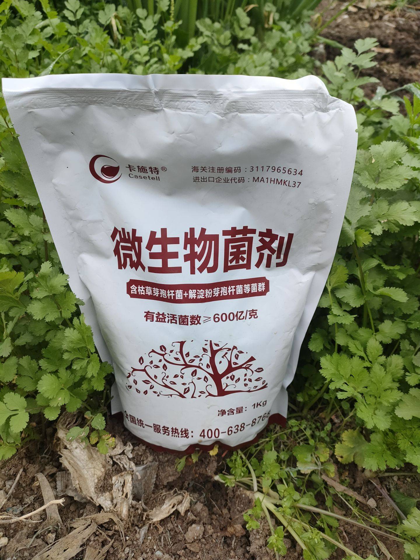 進口微生物菌劑如何選？卡施特效果實測與選購指南